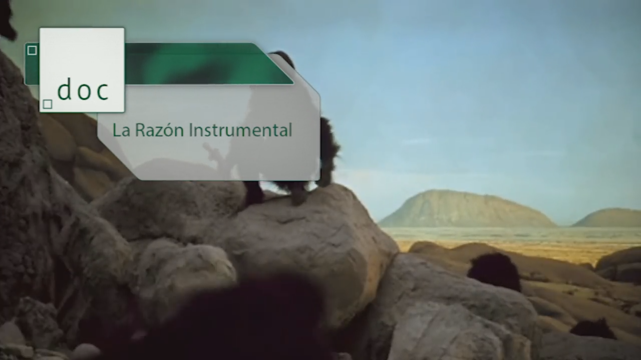 La Razón Instrumental