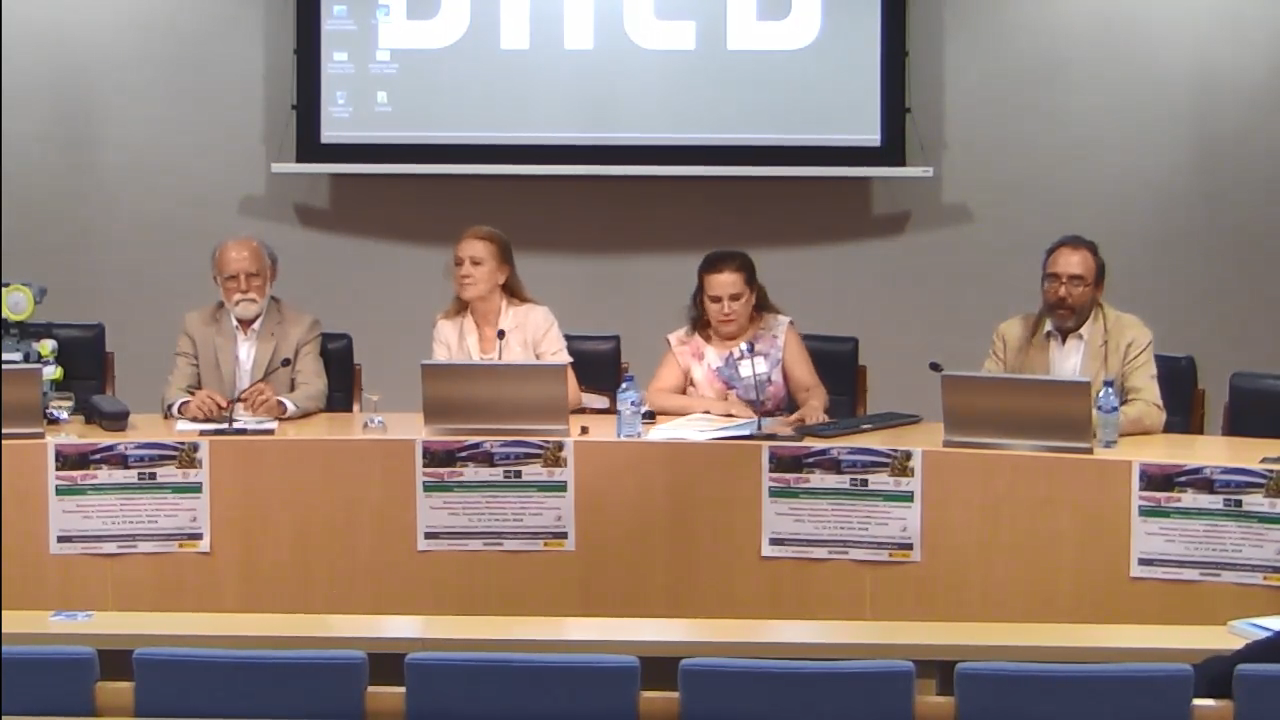 Panel de Expertos: Transferencia al Desarrollo Profesional. Turno de preguntas
