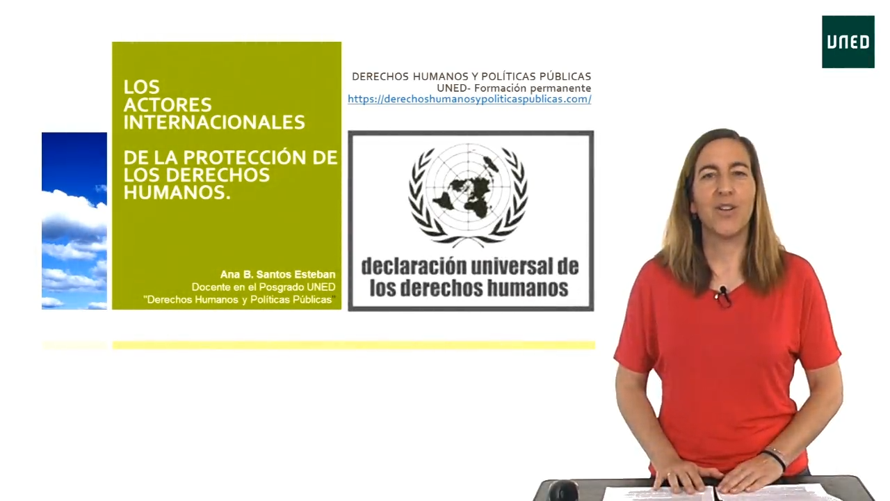 Los actores internacionales de la protección de los derechos humanos