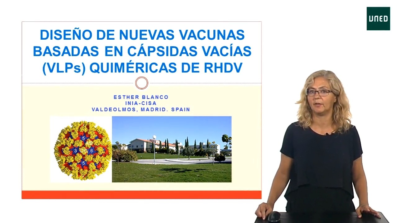 Desarrollo de nuevas estrategias vacunales frente a enfermedades víricas ganaderas basadas en el empleo de pseudopartículas virales o VLPs