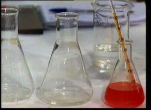 II Semana de la Ciencia
