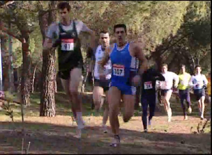 XXII Cross del Rector 2010