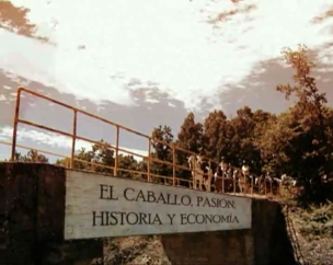El caballo, pasión, historia y economía
