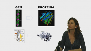  Tema 2. Identificación de Proteínas mediante espectrometría de masas.          