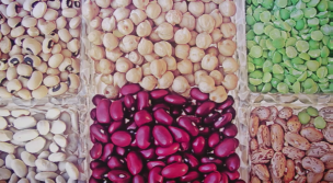 Alimentos: la conquista humana 
