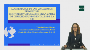 Los derechos de los ciudadanos europeos II: La aplicación de la Carta de derechos fundamentales de la UE   