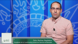 Compactado de todas las preguntas.