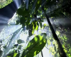 Proyección video Mediación