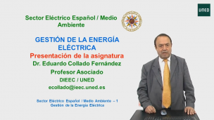 Gestión de la energía eléctrica	