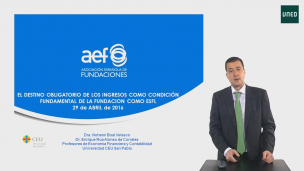 El destino obligatorio de los ingresos como condición fundamental de la fundación como ESFL