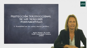 Protección jurisdiccional de los Derechos fundamentales