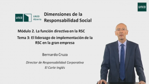 2.3. El liderazgo en la implementación de la RSC en la gran empresa