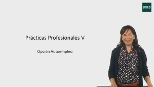Opción autoempleo
