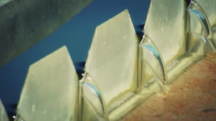 Agua y Sostenibilidad