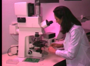 Cuestionamiento de suposiciones aceptadas durante largo tiempo por la ciencia