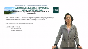 Módulo 6. Normas y estándares de la RSC (ISO26000 y AA1000)