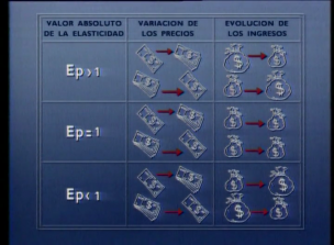 Las elasticidades en Economía
