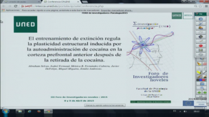 El entrenamiento de extinción regula la plasticidad estructural inducida por la autoadministración de cocaína en la corteza prefrontal anterior después de la retirada de la cocaína