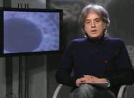 Representación Institucional de los Tutores de la UNED: Curso de Venia Docendi 2011