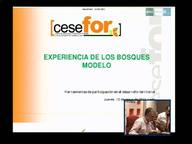 Experiencia de los Bosques Modelo