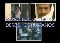 La protección de los Derechos Humanos