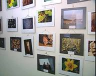 VI Concurso de Fotografía Científica UNED