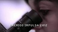Premios Impulsa 2012