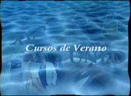XV Cursos de Verano UNED, 2004
