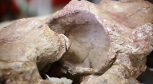 La armadura de los últimos gigantes 