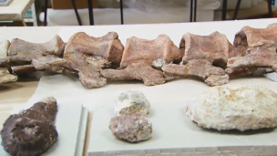 La armadura de los últimos gigantes 