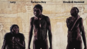 Prehistoria. Tras las huellas de los primeros humanos   