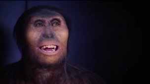Prehistoria II. Tras las huellas de los neandertales      