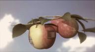 Hallazgos y Creaciones. La manzana de Newton