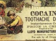 Psicobiología de la Drogadicción