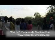 La mutilación genital femenina como manifestación de la violencia de género
