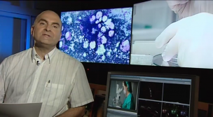 Madri+d 137. 	El sistema inmune participa en la reubicación de las células madre en el cuerpo / Nuevo reconocimiento en torno al bosón de Higgs / Los vertidos de antibióticos podrían dañar el medio am