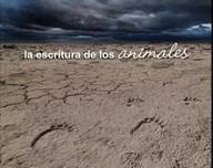 La escritura de los animales: leyendo la diversidad de la vida