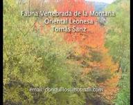Fauna Vertebrada de la Montaña Oriental Leonesa. Tomas Sanz.