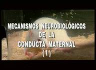 Mecanismos Neurobiológicos de la Conducta Maternal I