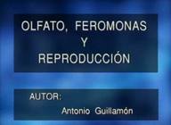 Olfato, feromonas y reproducción.