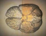 Salud mental comunitaria