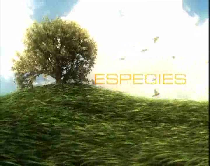 Especies