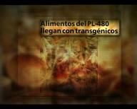 ADN y Sociedad. Los alimentos transgénicos.