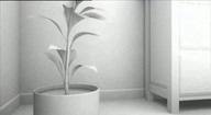 Una habitación propia