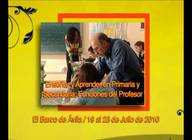 PROMO - Enseñar y aprender en Primaria y Secundaria: funciones del profesor
