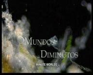 Mundos diminutos. Cap. 06.- Charcas efímeras