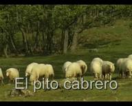 El pito cabrero