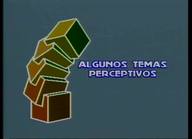 Algunos temas perceptivos a debate
