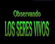 Observando los seres vivos: Las plantas