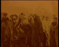 Exilios II. Refugiados españoles en el mediodia de Francia. Exodo, acogida y campos